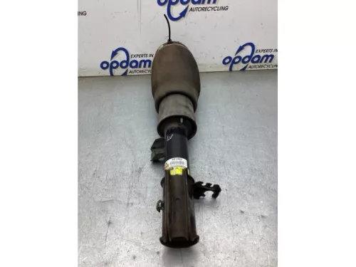 Schokdemperpoot links-voor-8231169