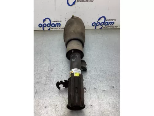 Schokdemperpoot rechts-voor-8231169