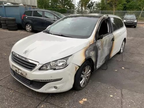 Bumper Rooster-8359051