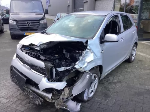 Schokdemperpoot links-voor-8267914