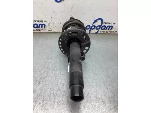 Schokdemperpoot rechts-voor-8383061