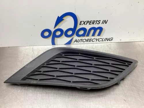 Bumper Rooster-7938209 Bumper Rooster-7938209