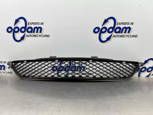 Bumper Rooster-8245989