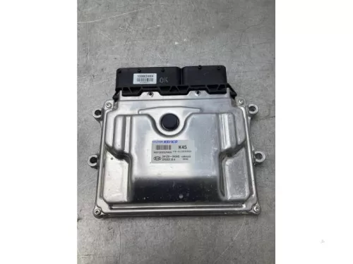 Computer Motormanagement-7617489