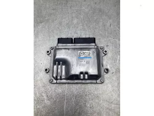 Computer Motormanagement-8061244