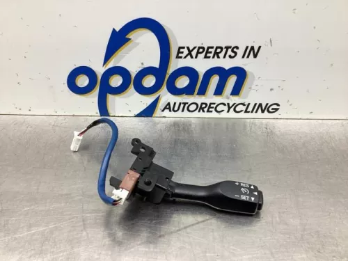 Cruise Control Bediening-7923166