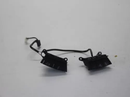 Cruise Control Bediening-7613526