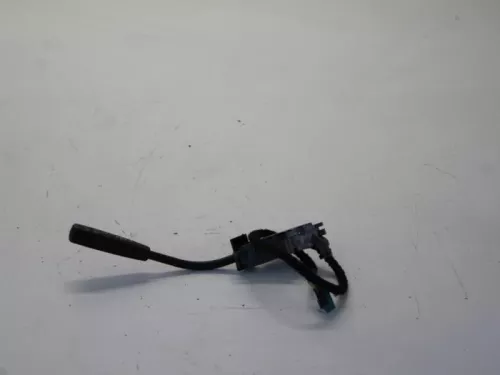 Cruise Control Bediening-7879842