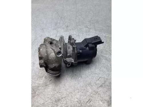 EGR Klep-6233329