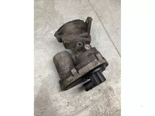 EGR Klep-8057039
