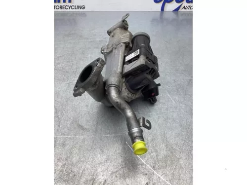 EGR Klep-