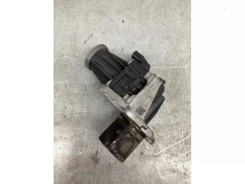 EGR Klep-