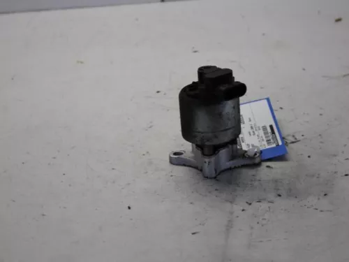 EGR Klep-7881681