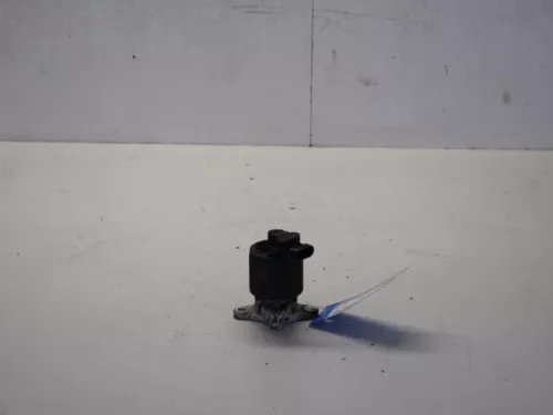 EGR Klep-7881550