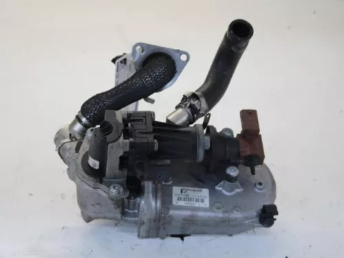 EGR Klep-