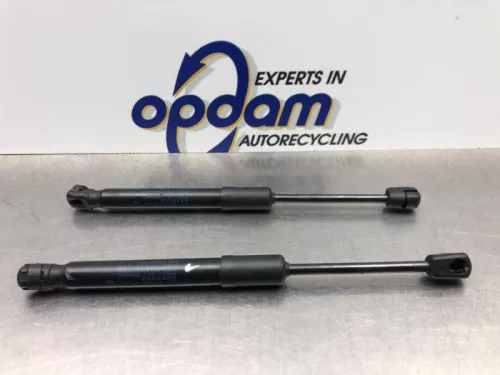 Gasdemper Motorkap Set-8176299