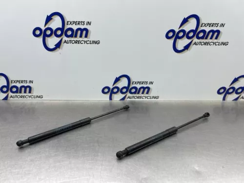 Gasdemper Motorkap Set-8272820
