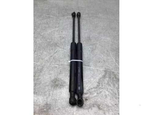 Gasdemper Motorkap Set-8234054