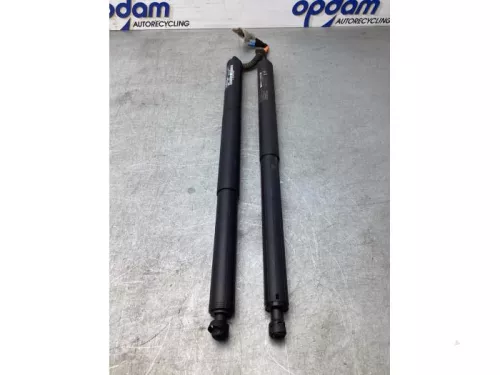 Gasdemperset Kofferdeksel-8079616
