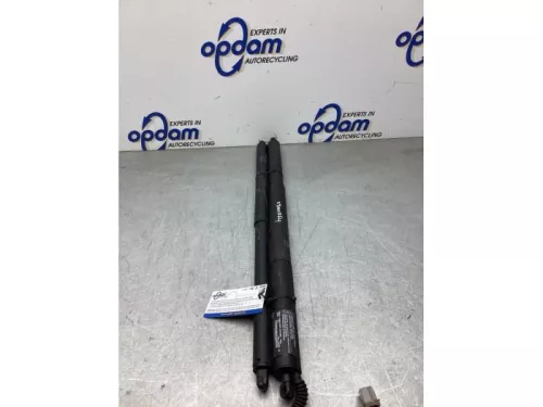 Gasdemperset Kofferdeksel-8068977