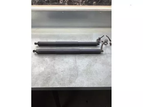 Gasdemperset Kofferdeksel-8068018