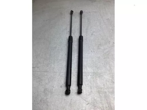 Gasdemperset Kofferdeksel-8071372