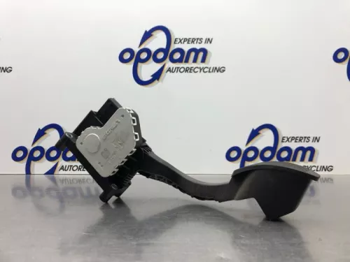 Gaspedaal-8115130