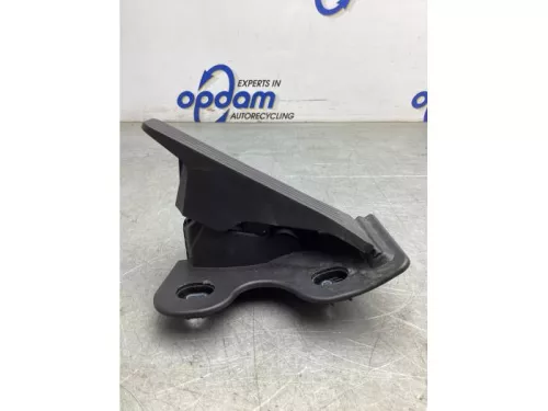 Gaspedaalpositie Sensor-8061244