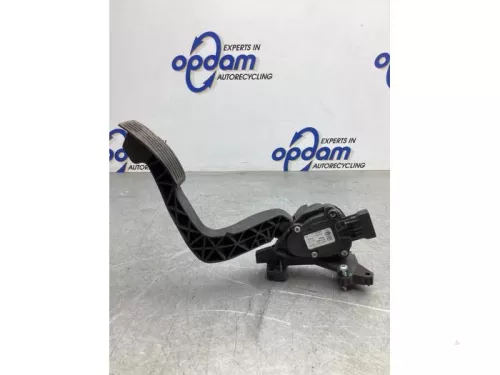 Gaspedaalpositie Sensor-7924379