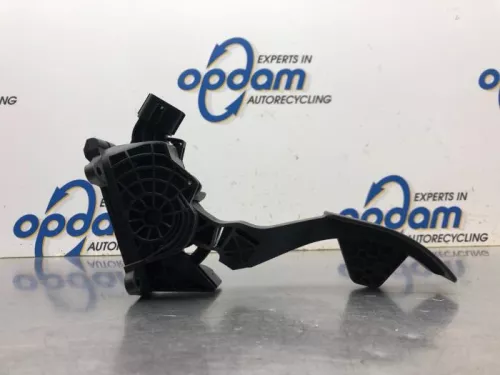 Gaspedaalpositie Sensor-8118445