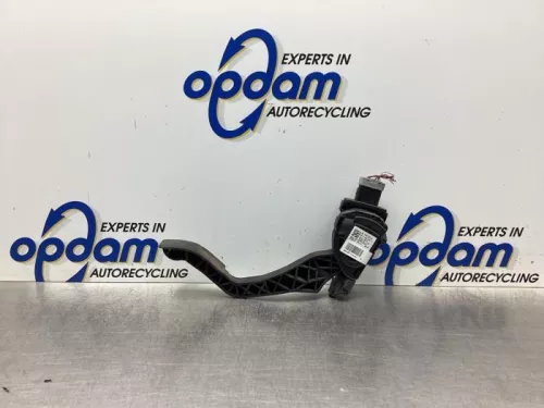 Gaspedaalpositie Sensor-7975208