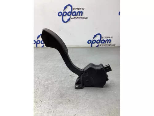 Gaspedaalpositie Sensor-7924816