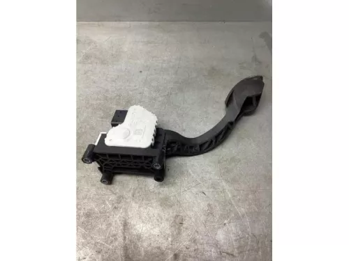 Gaspedaalpositie Sensor-8104560
