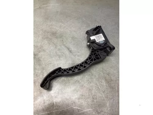 Gaspedaalpositie Sensor-8103469