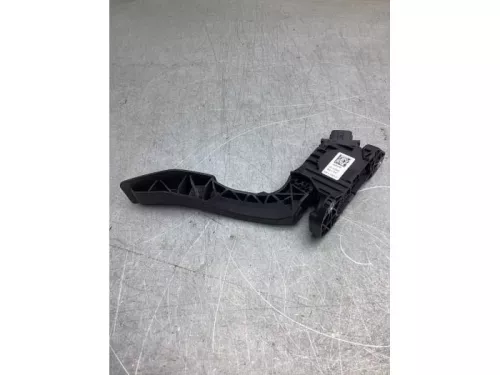 Gaspedaalpositie Sensor-8097267