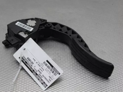 Gaspedaalpositie Sensor-7713887
