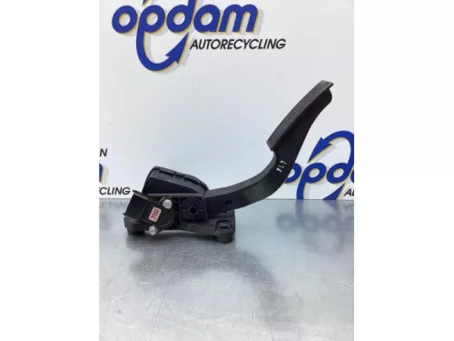 Gaspedaalpositie Sensor-7729992