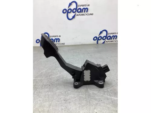 Gaspedaalpositie Sensor-8079939