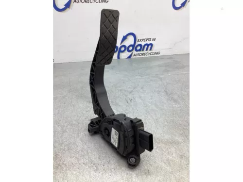 Gaspedaalpositie Sensor-6219815