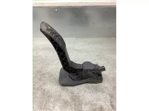 Gaspedaalpositie Sensor-7936118