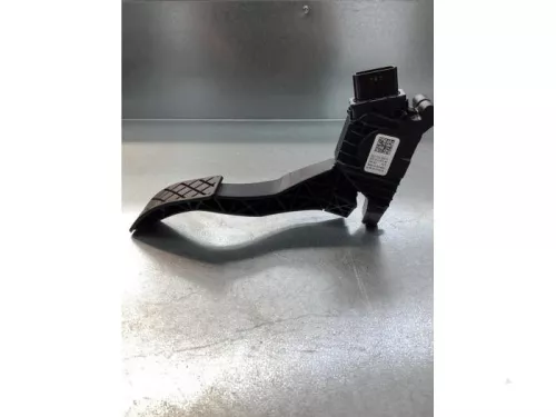 Gaspedaalpositie Sensor-6924228