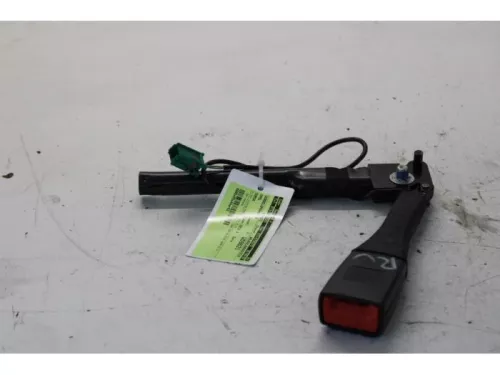 Gordelspanner rechts-7878669