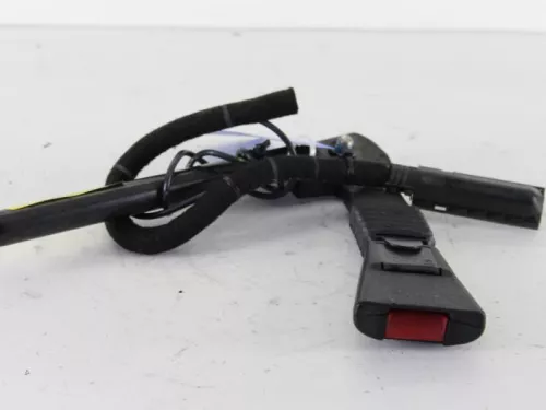 Gordelspanner rechts-7888086