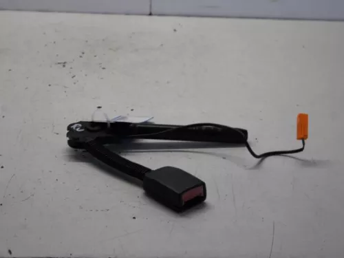 Gordelspanner rechts-7582506