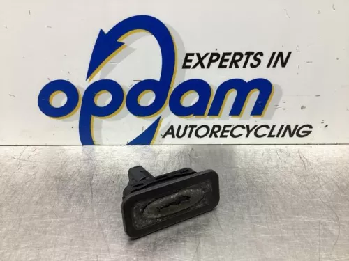 Handgreep Achterklep-7924421