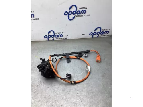 HV kabel (hoog voltage)-8282910