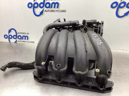 Inlaatspruitstuk-7931688