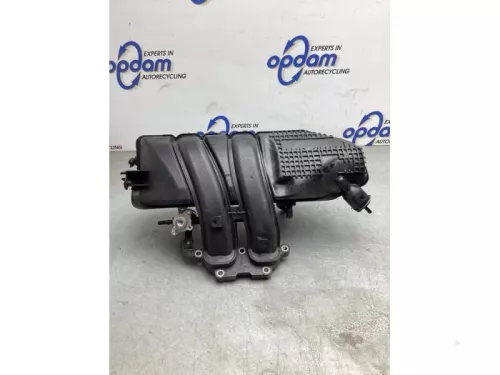 Inlaatspruitstuk- Inlaatspruitstuk-