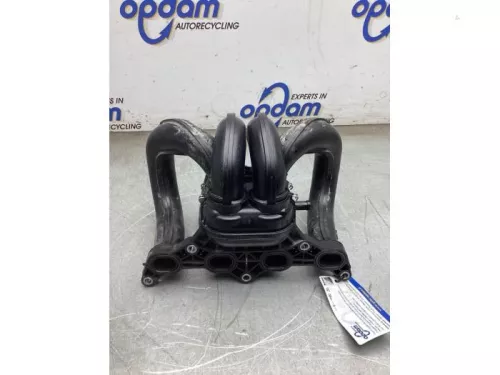 Inlaatspruitstuk-7896634