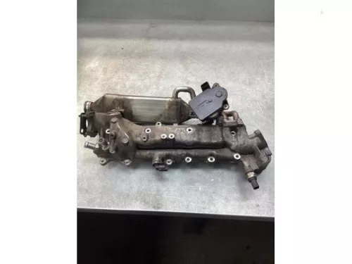 Inlaatspruitstuk- Inlaatspruitstuk-